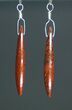 Rich, Red Agatized Dinosaur Gembone Earrings #33830-1